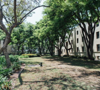 学生の間にアメリカ永住権（グリーンカード）を取る