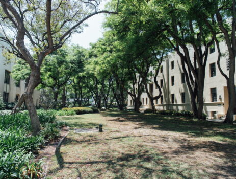 学生の間にアメリカ永住権（グリーンカード）を取る